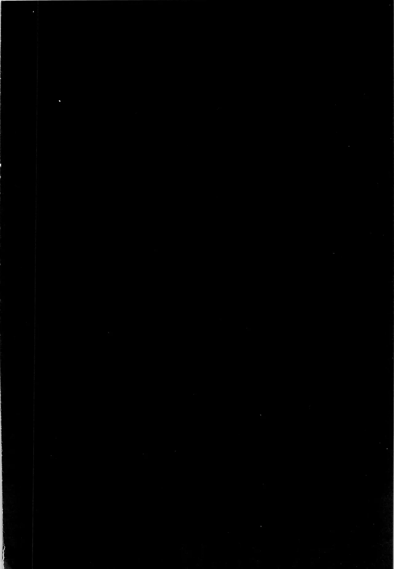 エロ虎ップダンジョン page 4 full