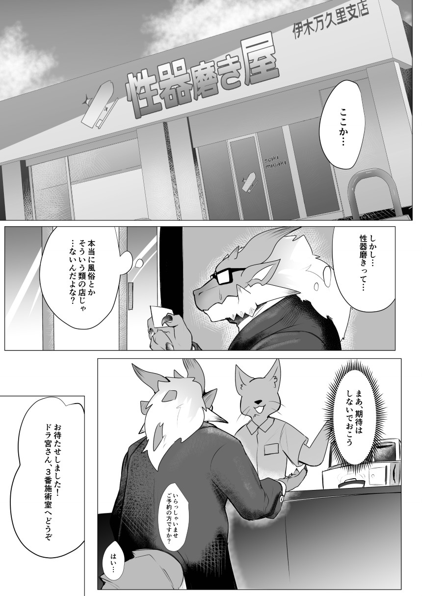 Seiki migakiya page 5 full