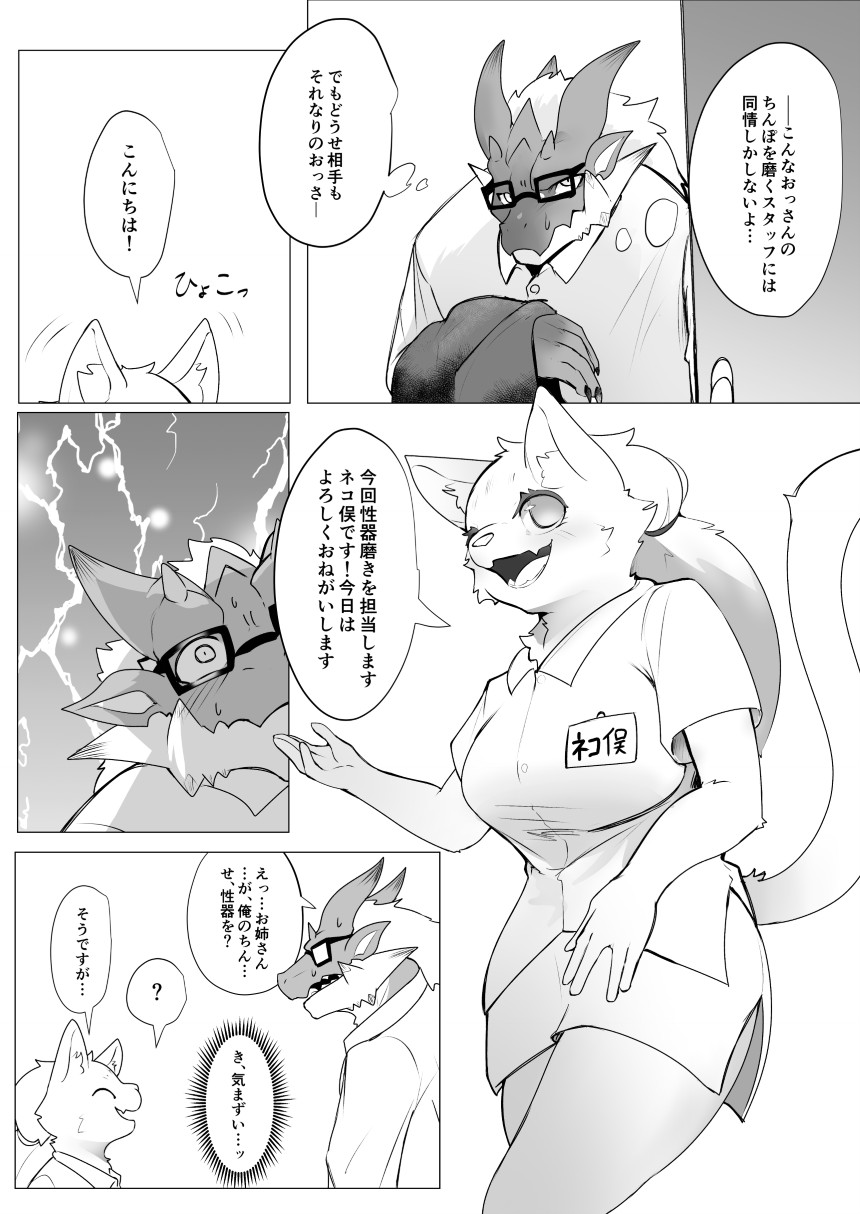 Seiki migakiya page 6 full