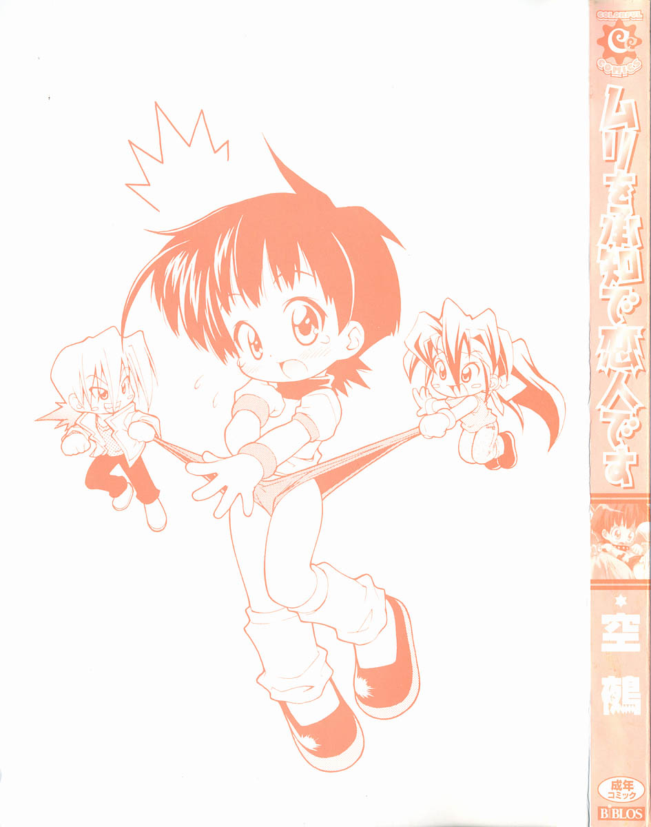 Muri o Shouchi de Koibito Desu page 4 full