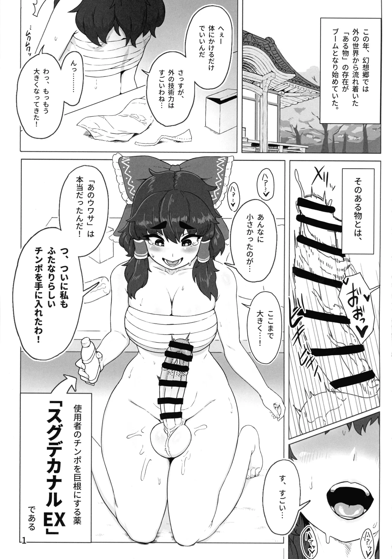 Touhou Futanari Jihen Miko to Yousei, Hajimete no Nyoudou Sex page 3 full