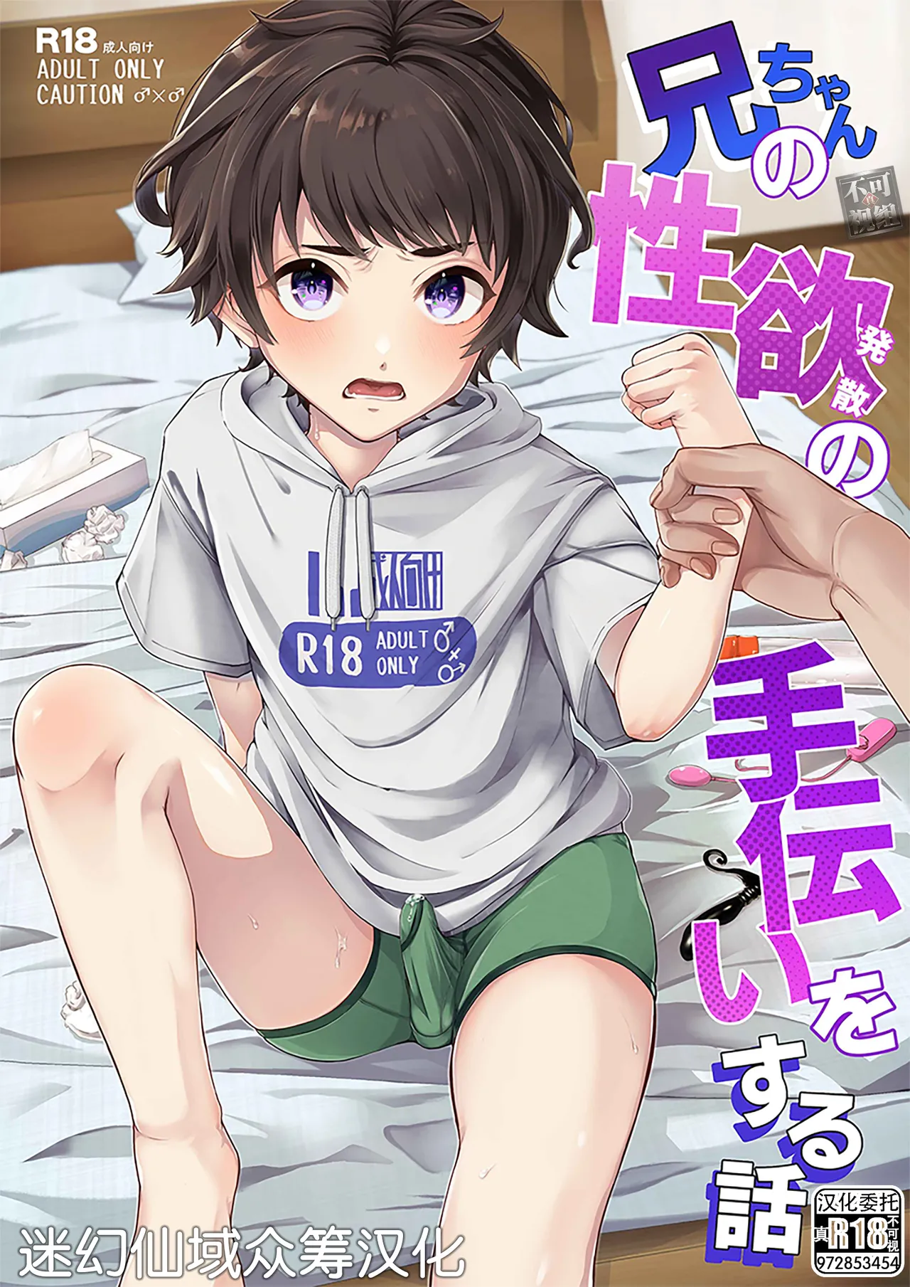 Niichan no Seiyoku Hassan no Tetsudai o Suru Hanashi page 1 full