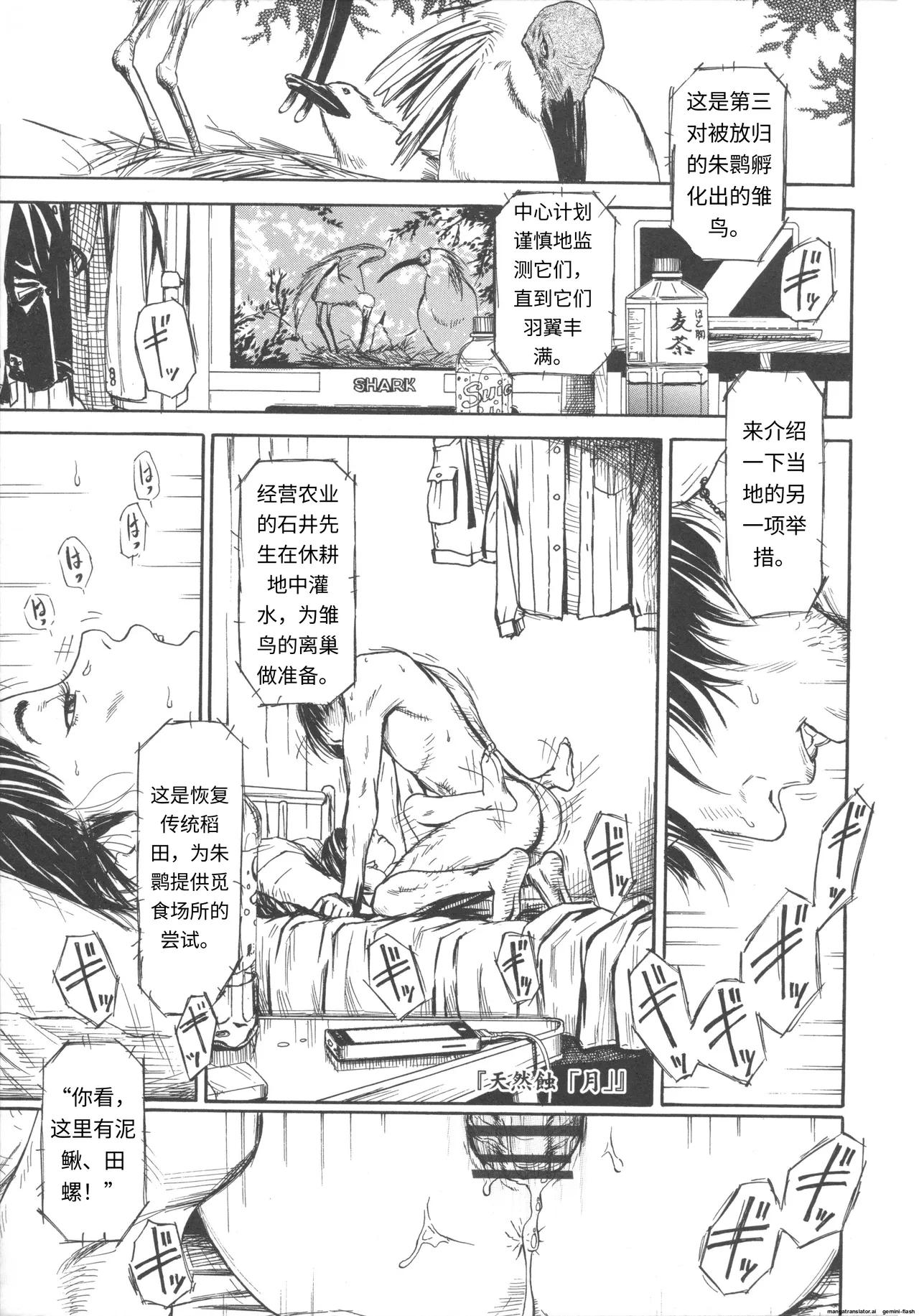 Shofu Hakkei page 5 full