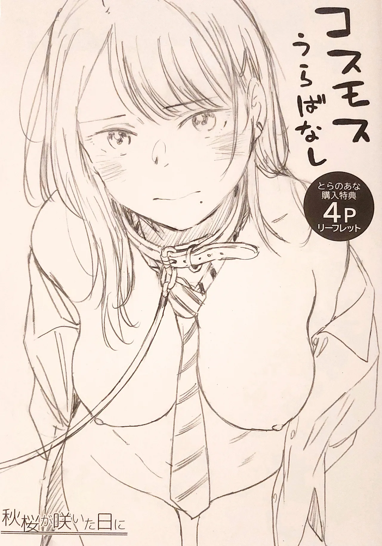 Cosmos ga Saita hi ni Toranoana Tokuten 4P Leaflet page 1 full