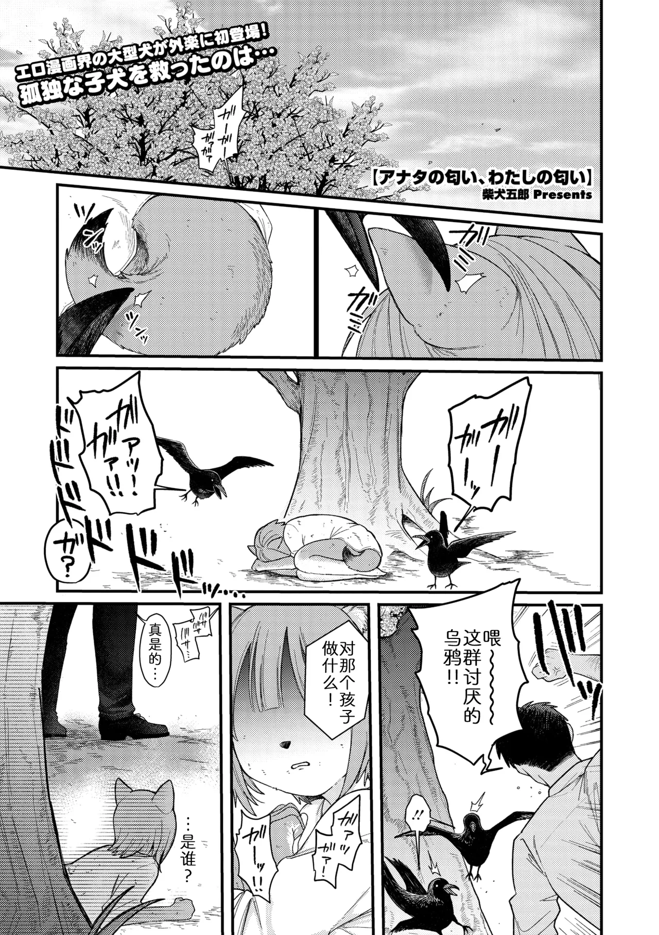 你我交织的气味 page 1 full