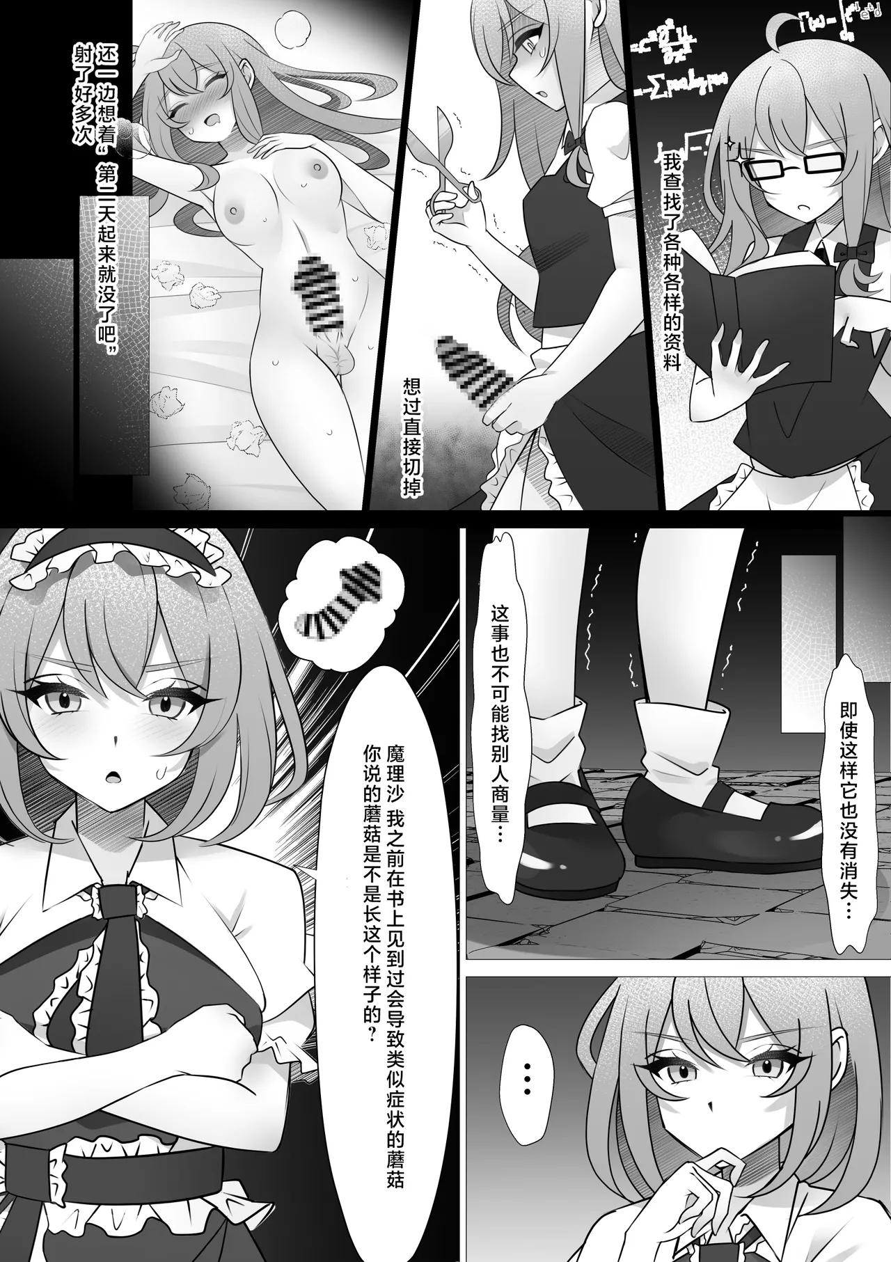 Futanari MariAli | 扶她魔理爱丽 page 10 full