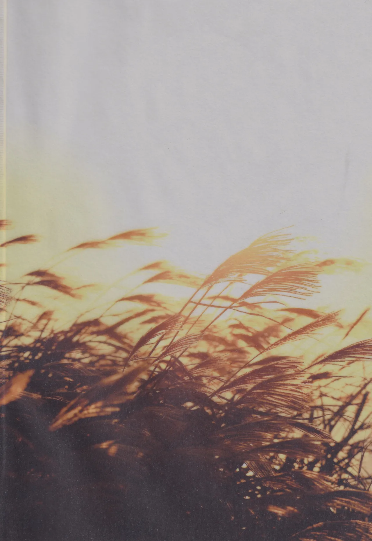 Kannazuki no Kure ni page 2 full