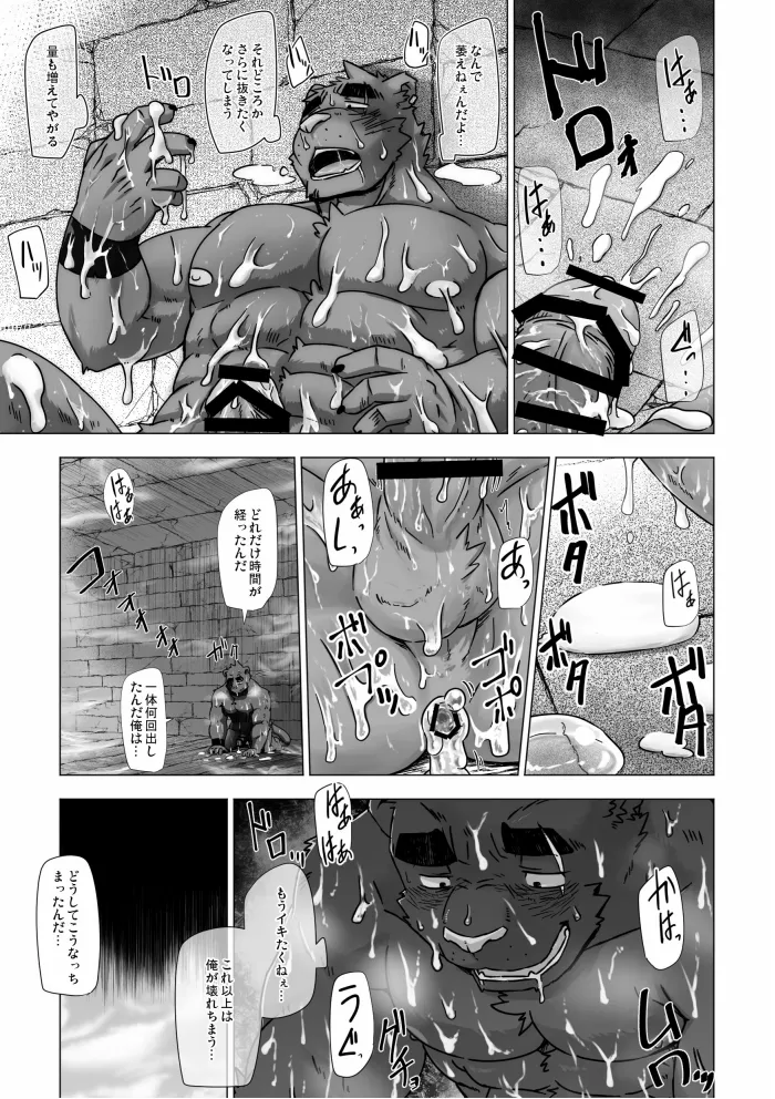 SOLOEXPLORER page 5 full