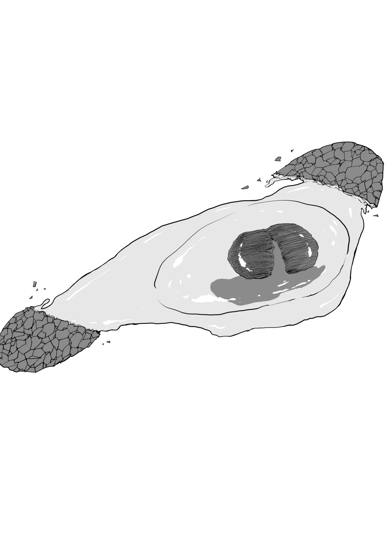 The Story of Fucking a Married Woman with a Huge Ass Until Morning page 4 full