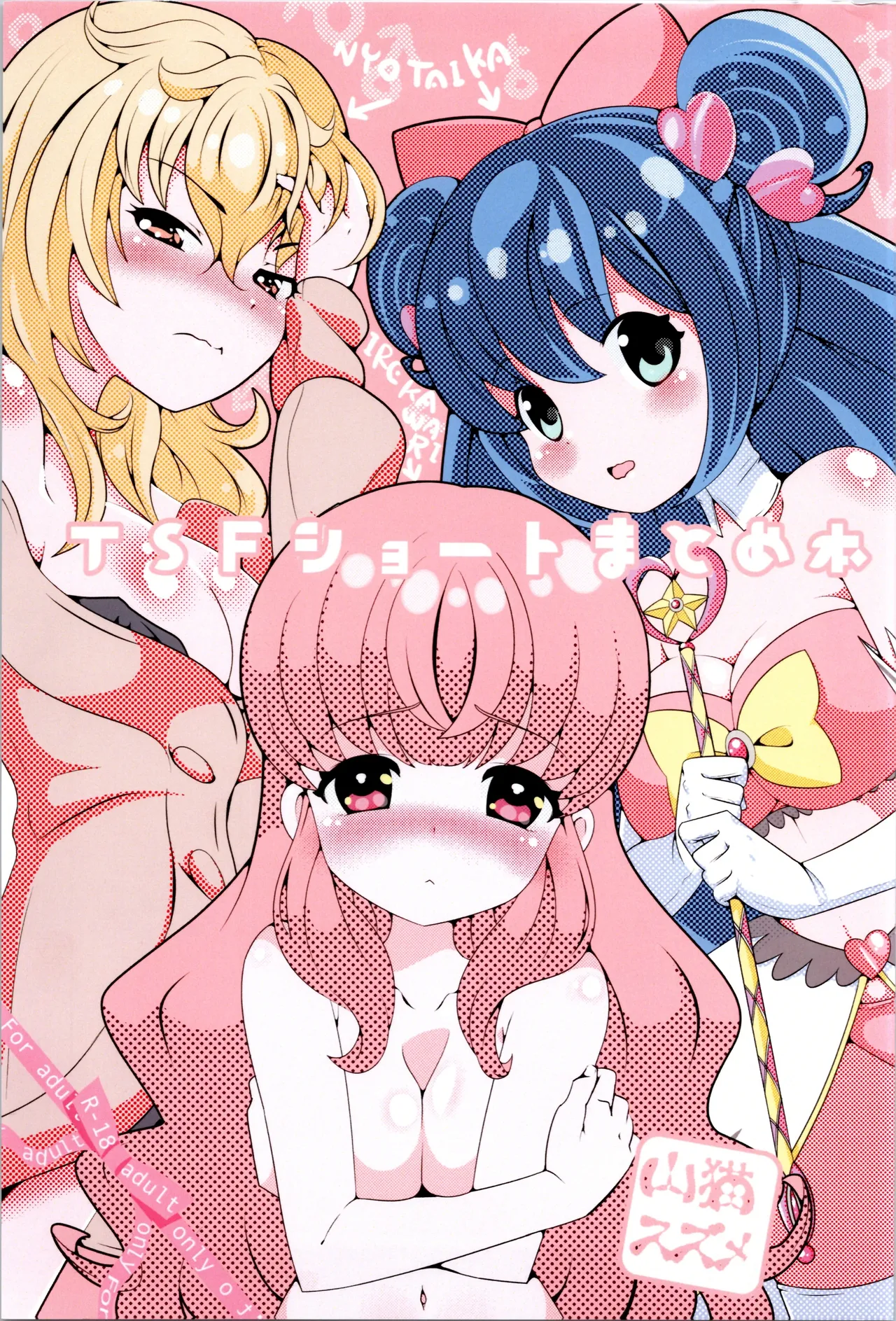 TSF shōto matome hon page 1 full