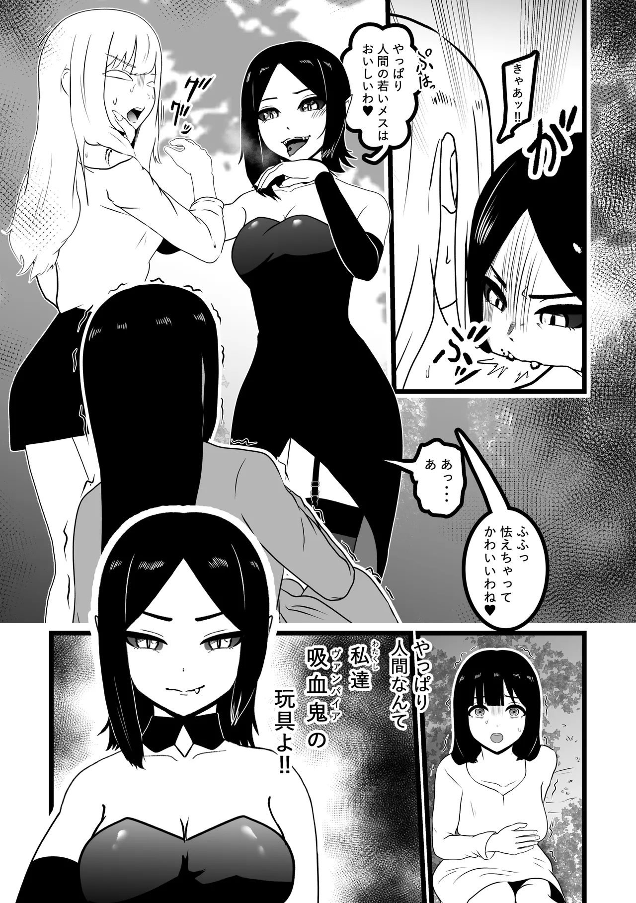 ヴァンパレイド9 〜吸血鬼 三姉妹 脱走編〜 page 10 full