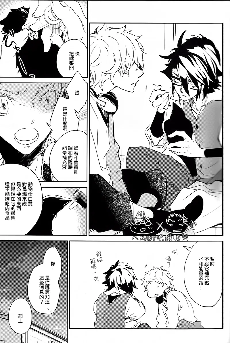 撿到烏鴉的晚上｜Karasu o Hirotta Yoru page 8 full