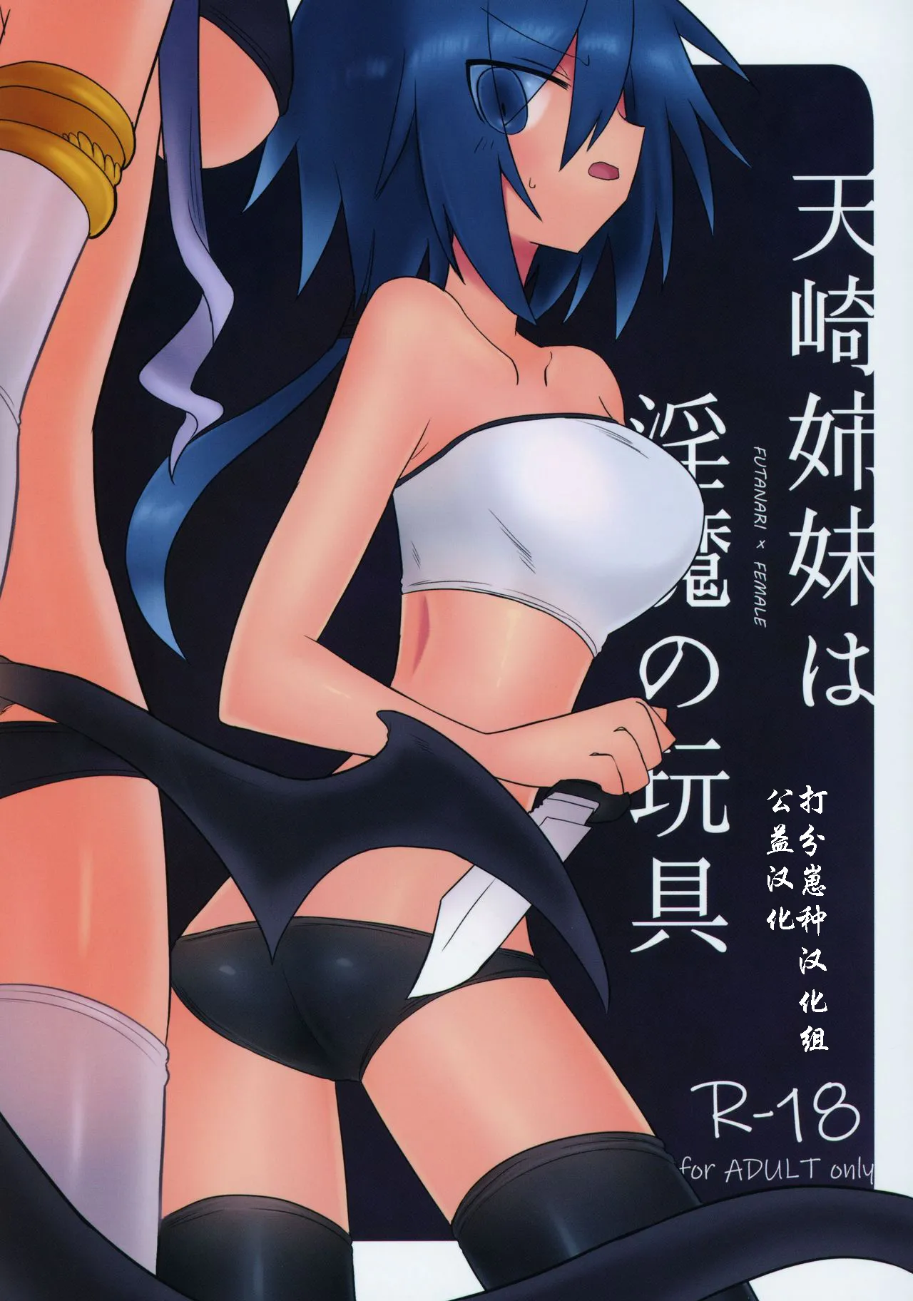 天崎姉妹は淫魔の玩具 【打分汉化组】 page 1 full