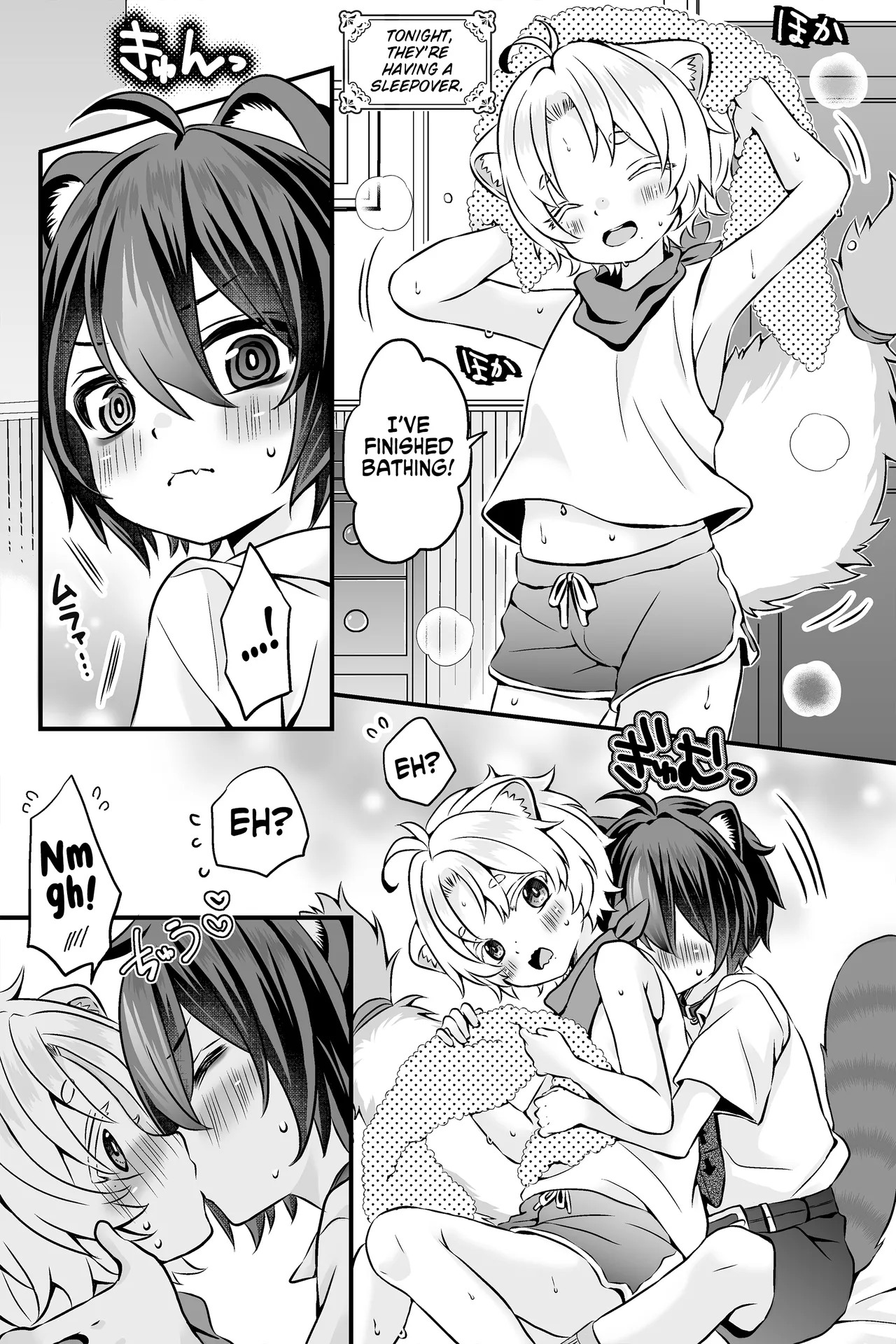 Araiguma to Ferret no Otokonoko-tachi no Manga | Ferret and raccoon boys manga page 1 full
