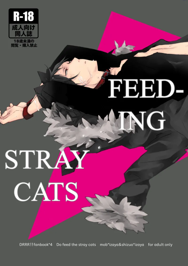 Feeding Stray Cats - Durarara doujin page 1 full