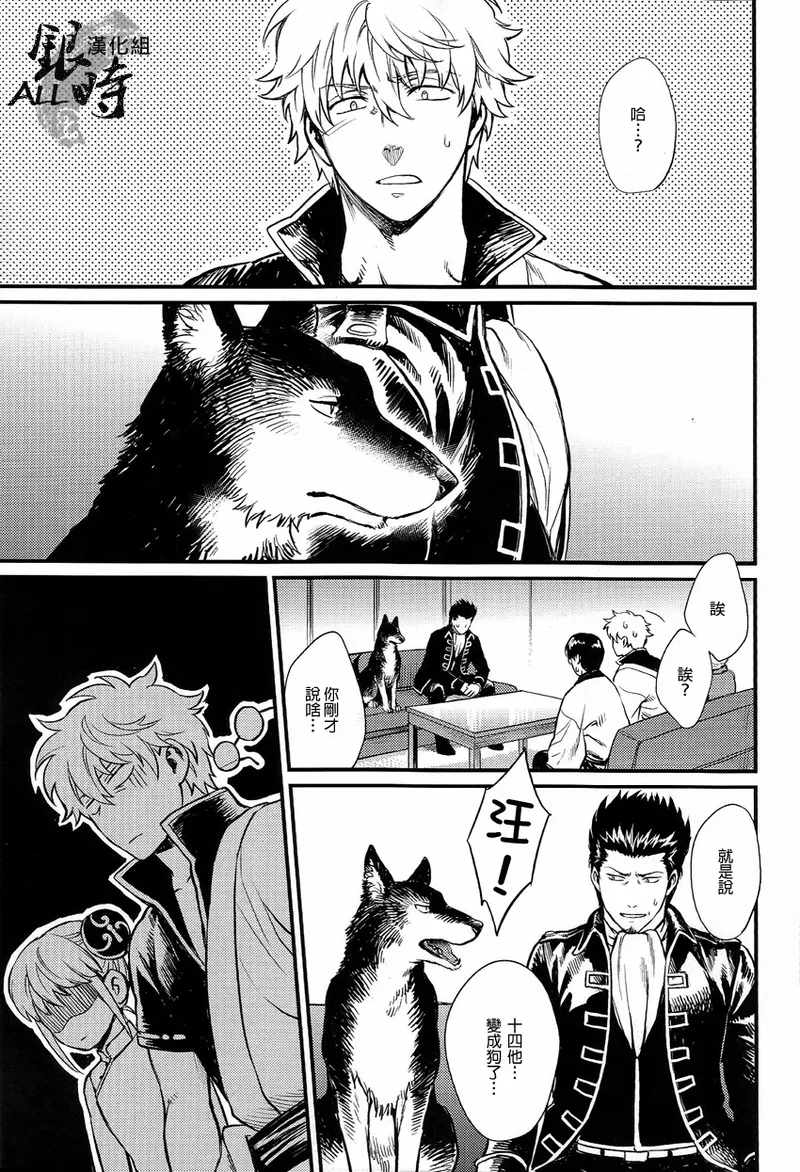 How to Spoil Your Dog page 6 full