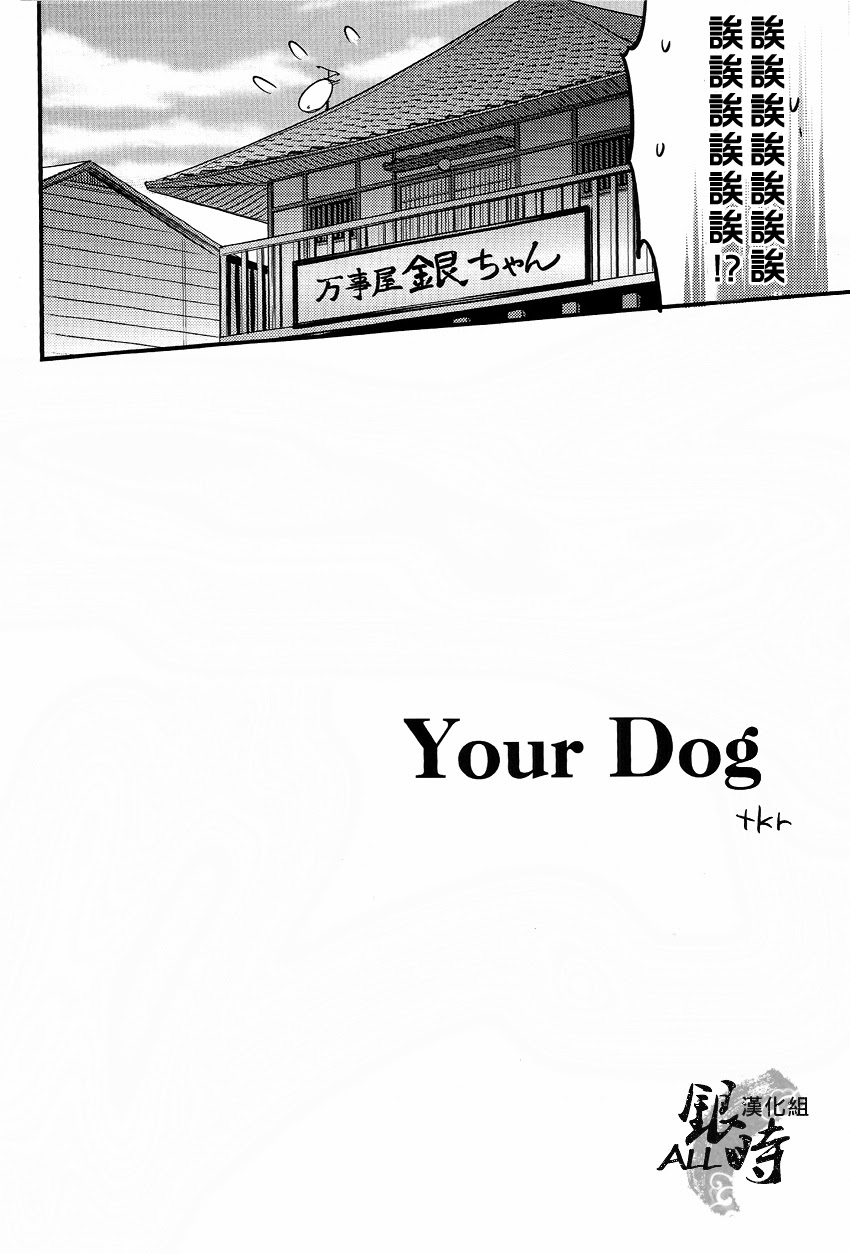 How to Spoil Your Dog page 7 full