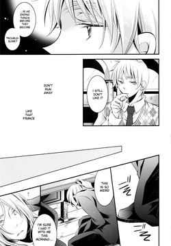 [idiot (Takahashi Asami)] Hatenai (Hetalia Axis Powers) [English] — page 17