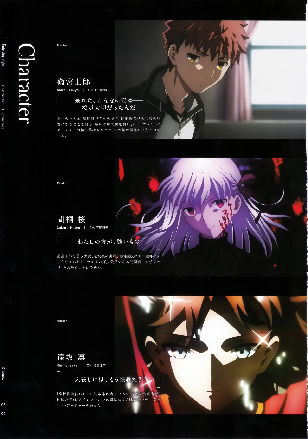 Fate stay night Heaven Feel spring song movie pamphlet page 6 full