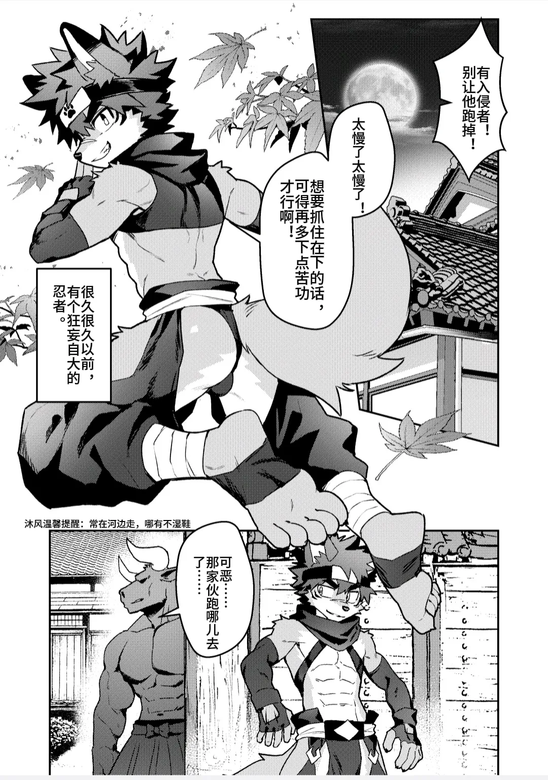 忍者的夜晚 ［沐风汉化］ page 3 full