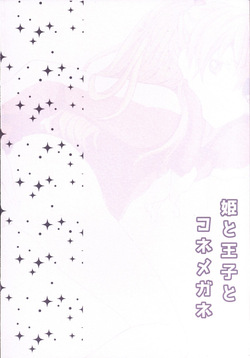 (C90) [Go-Go-Merry-Go-Round (Kasai Ema)] Hime to Ouji to Kone Megane (Neon Genesis Evangelion) — page 22
