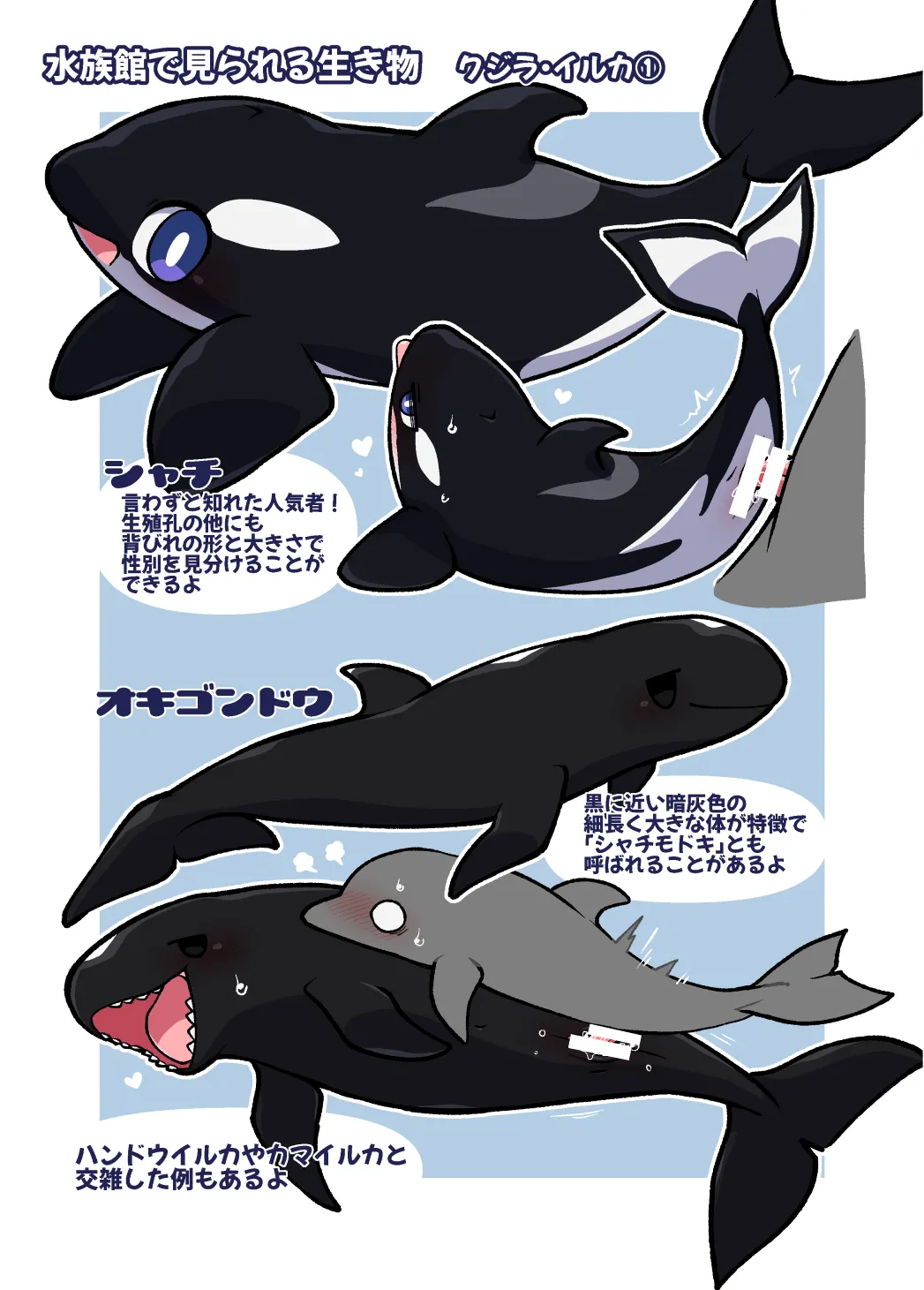 Dokidoki Suizokukan page 10 full