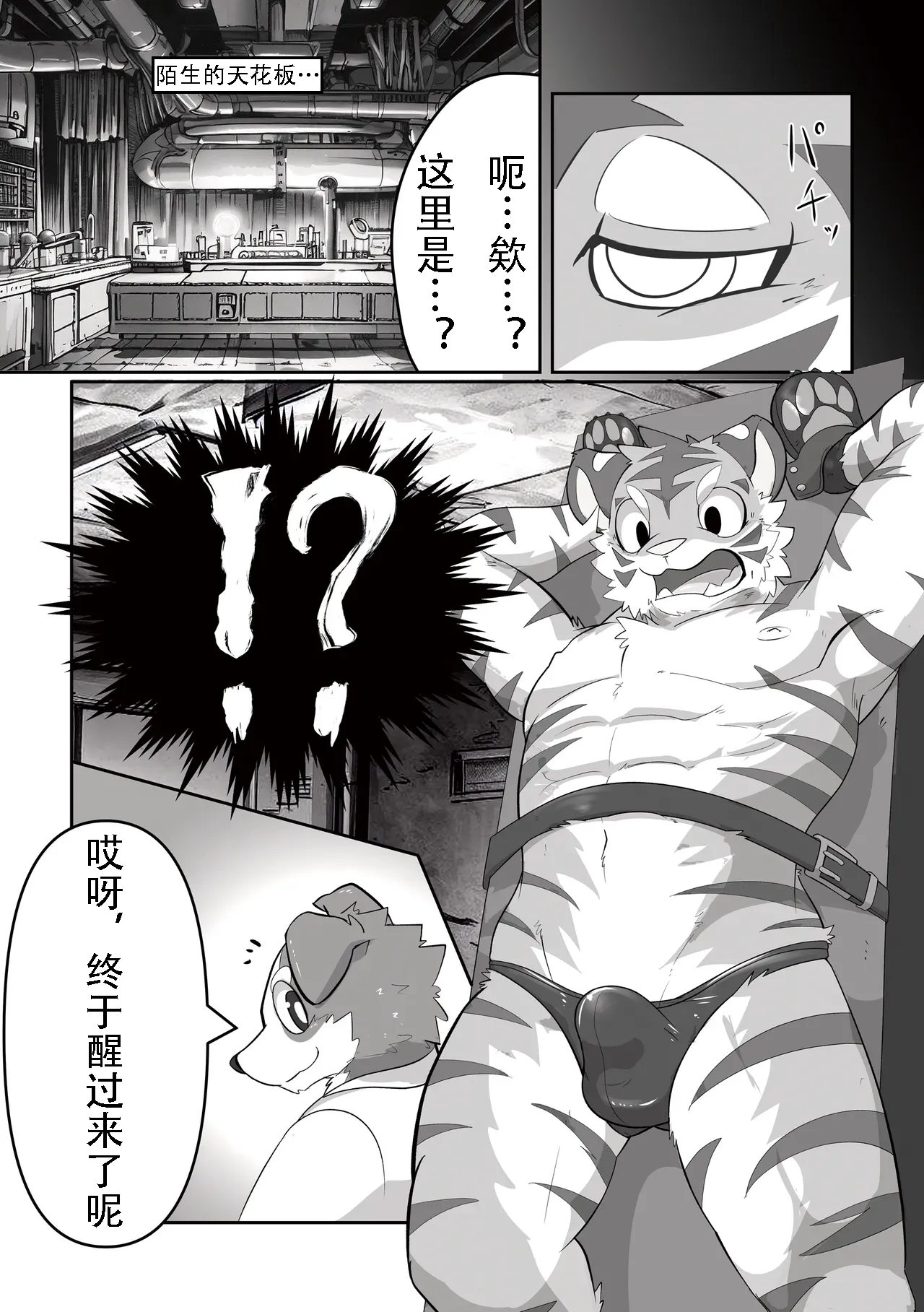 接下来这只老虎要被榨汁了。 金卡个人汉化 page 3 full