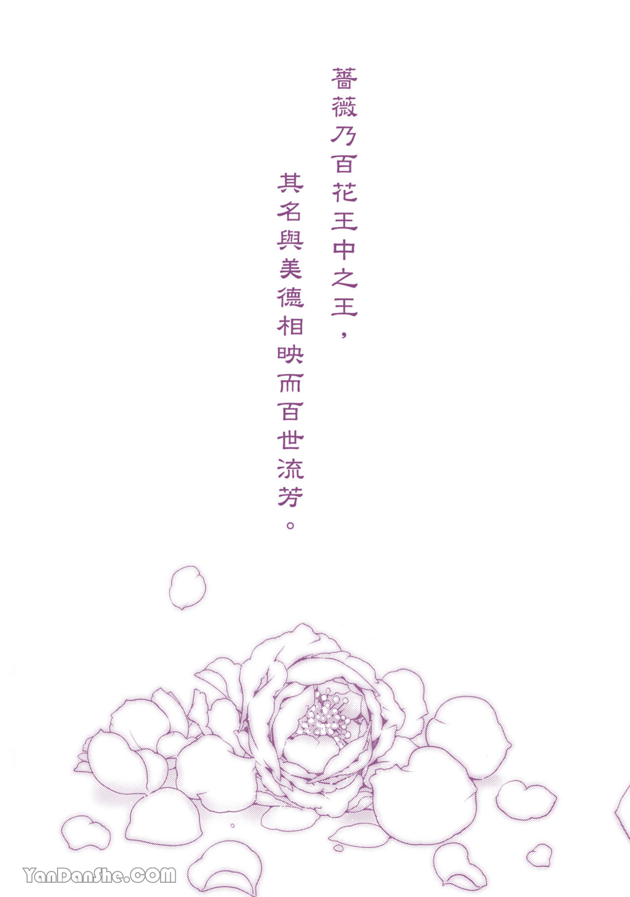 百日の蔷薇 Maiden Rose︱百日蔷薇 Maiden Rose page 3 full