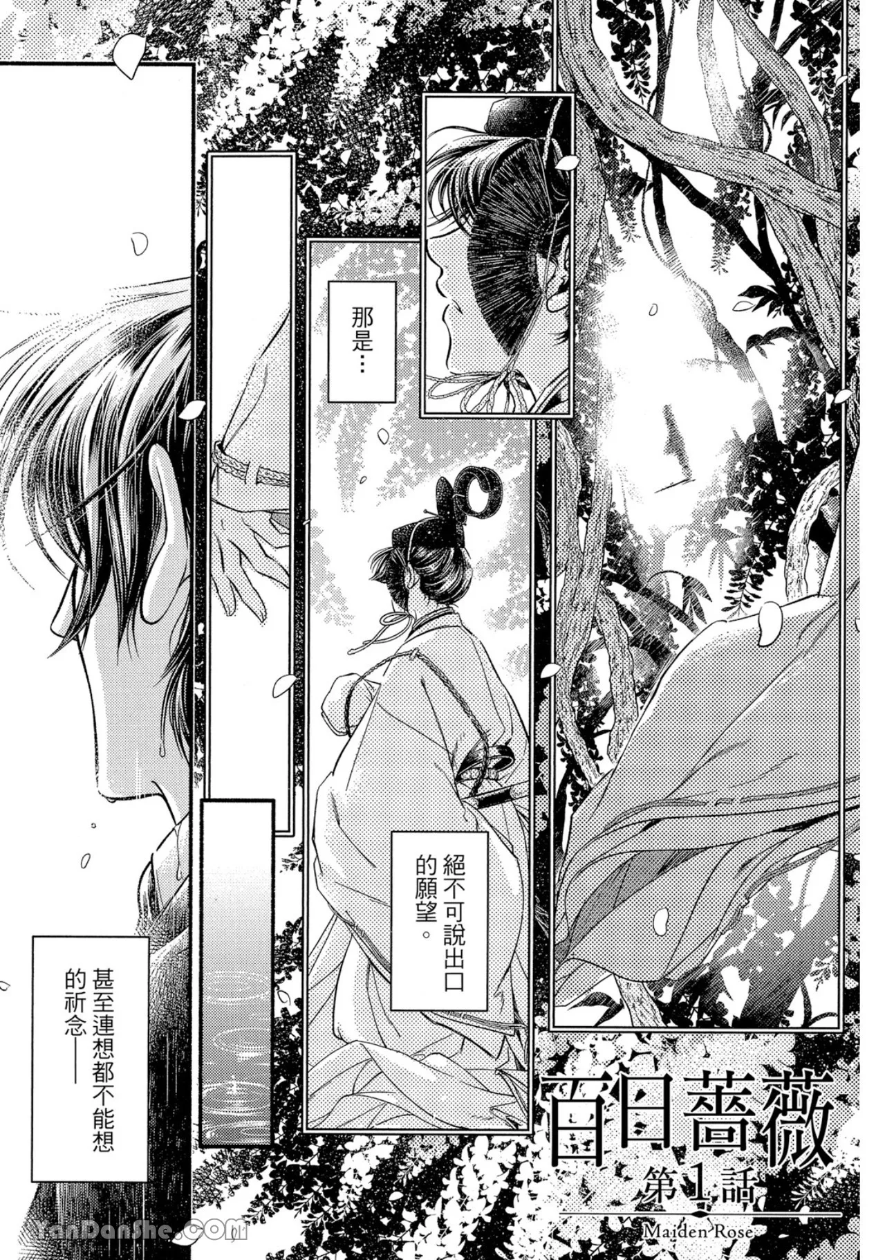 百日の蔷薇 Maiden Rose︱百日蔷薇 Maiden Rose page 4 full