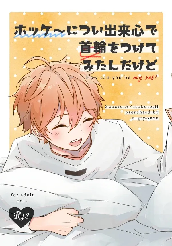 ホッケ〜につい出来心で首輪をつけてみたんだけど page 1 full
