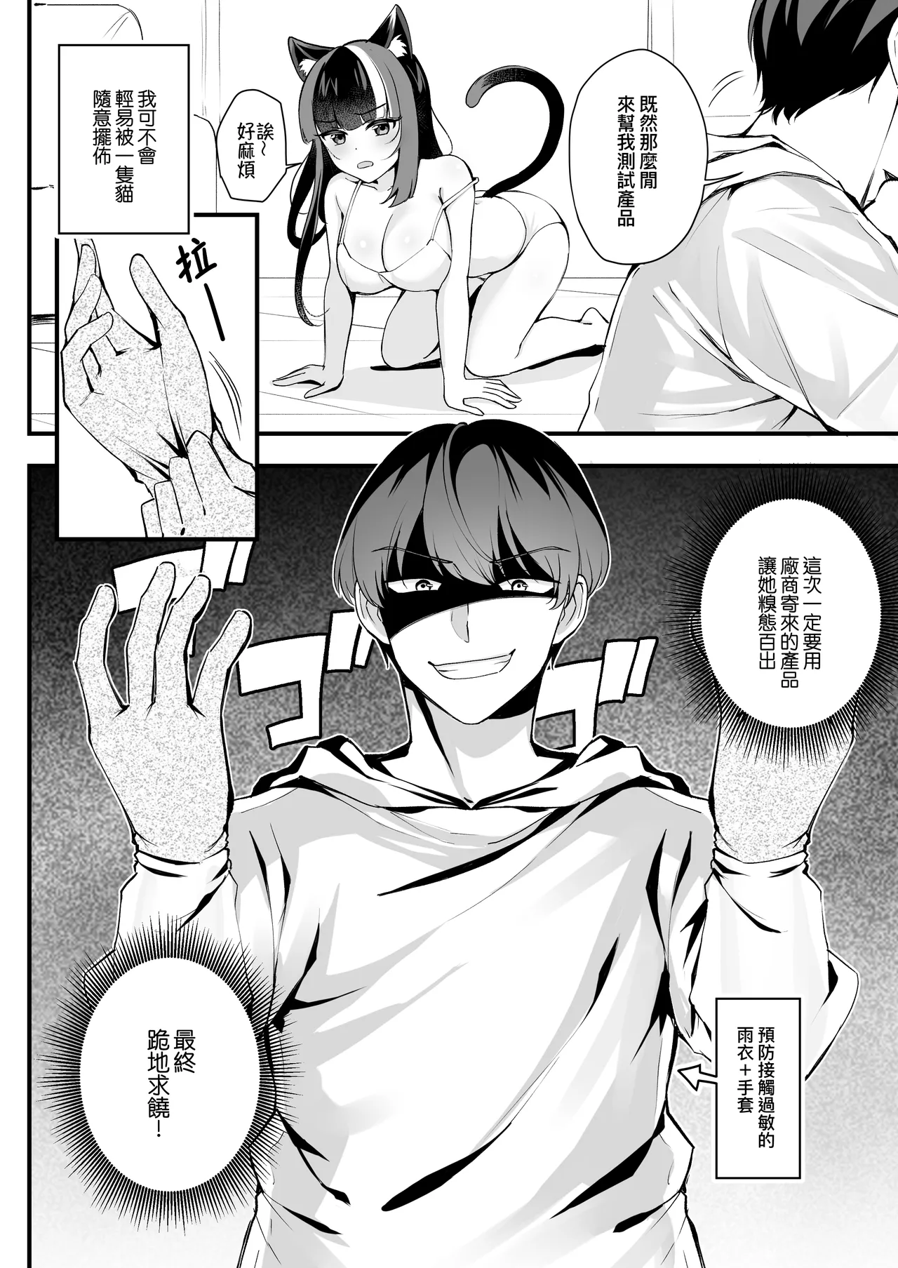 Dou Mao Bang de Shiyong Fangshi | 逗貓棒的使用方式 page 9 full