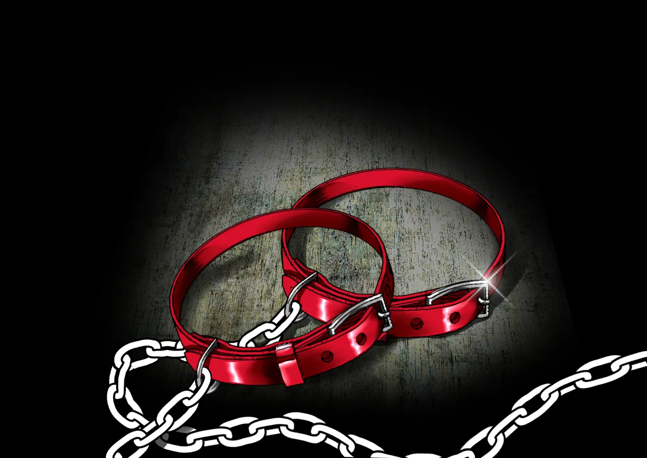 FGS2 （有条色狼汉化） page 4 full