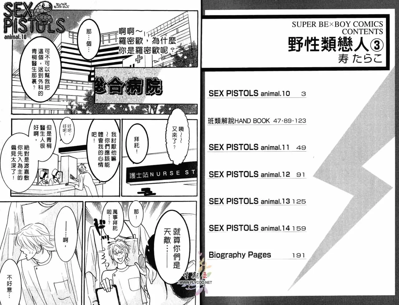 SEX PISTOLS 野性類戀人  Vol. 3 page 3 full