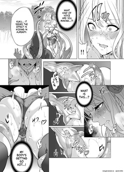 [Miyahara Ayumu] Himekishi Kairaku Ochisuru [English] [SCANMTL] — page 12