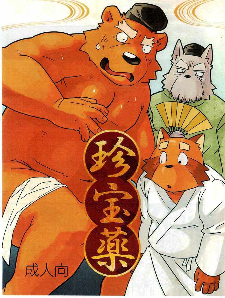 珍宝药 page 1 full