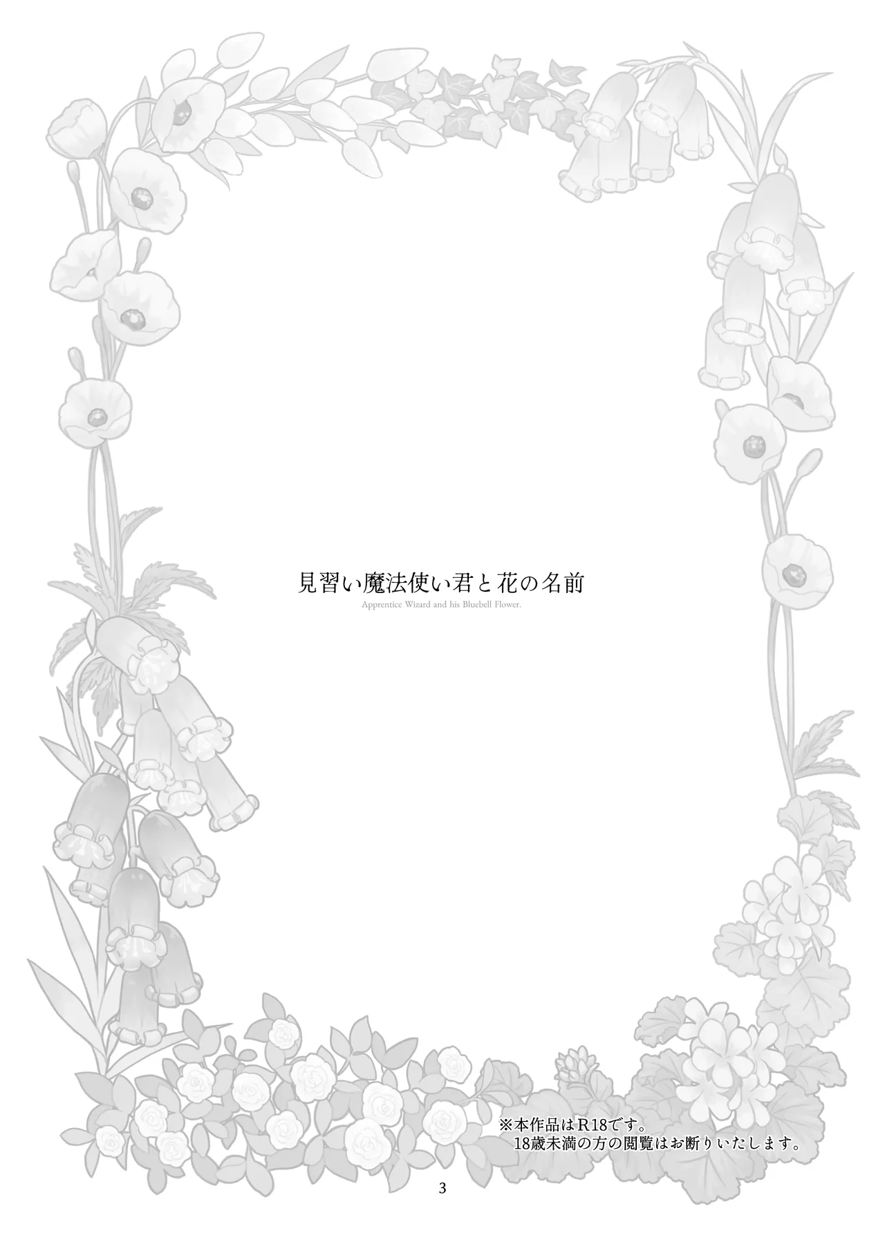 Minarai Mahoutsukai-kun to Hana no Namae - Apprentice Wizard and his Bluebell Flower. page 2 full