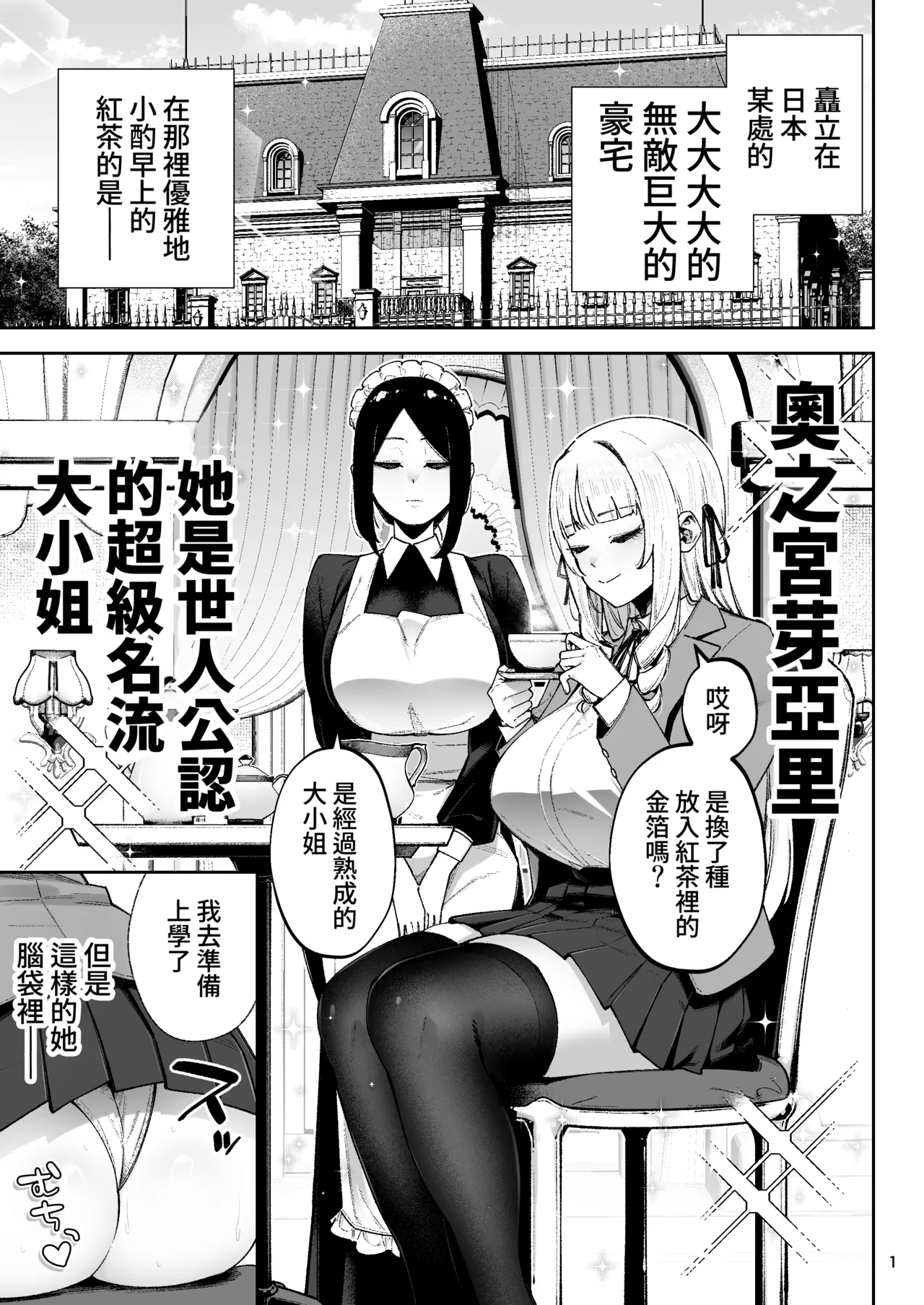 Soreyuke, Ero Baka Ojou-sama! ~Celeb no Watashi ga Dekachin Shomin wo Tegome ni Suru no wa Touzen desu!~ page 2 full
