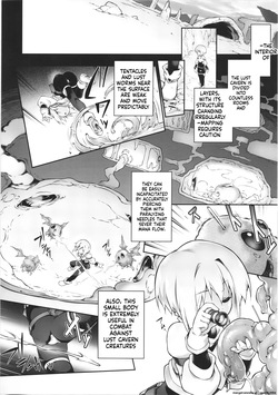 (C106) [Tomoshibiya Koubou (Tomoshibi Hidekazu)] Koko kara Nogareru Sono Tame no (SCANMTL) — page 12