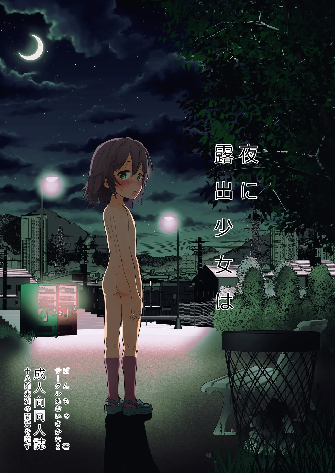 在夜晚露出的少女 page 1 full