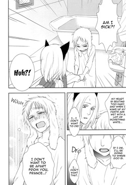 [daisy (Chikottsu)] Koiwazurai, Kimi to Futari (Hetalia Axis Powers) [English] — page 19