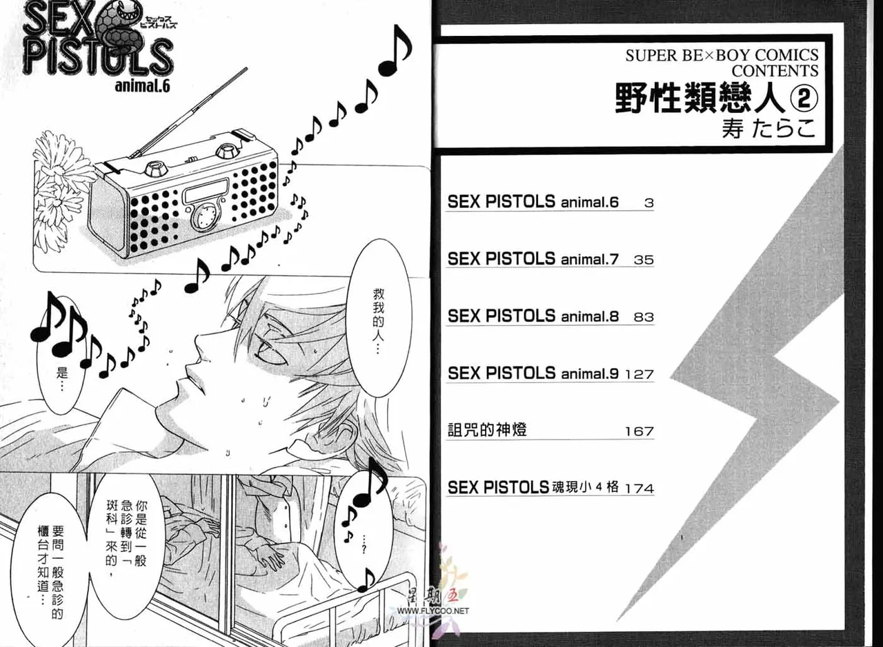 SEX PISTOLS 野性類戀人  Vol. 2 page 3 full