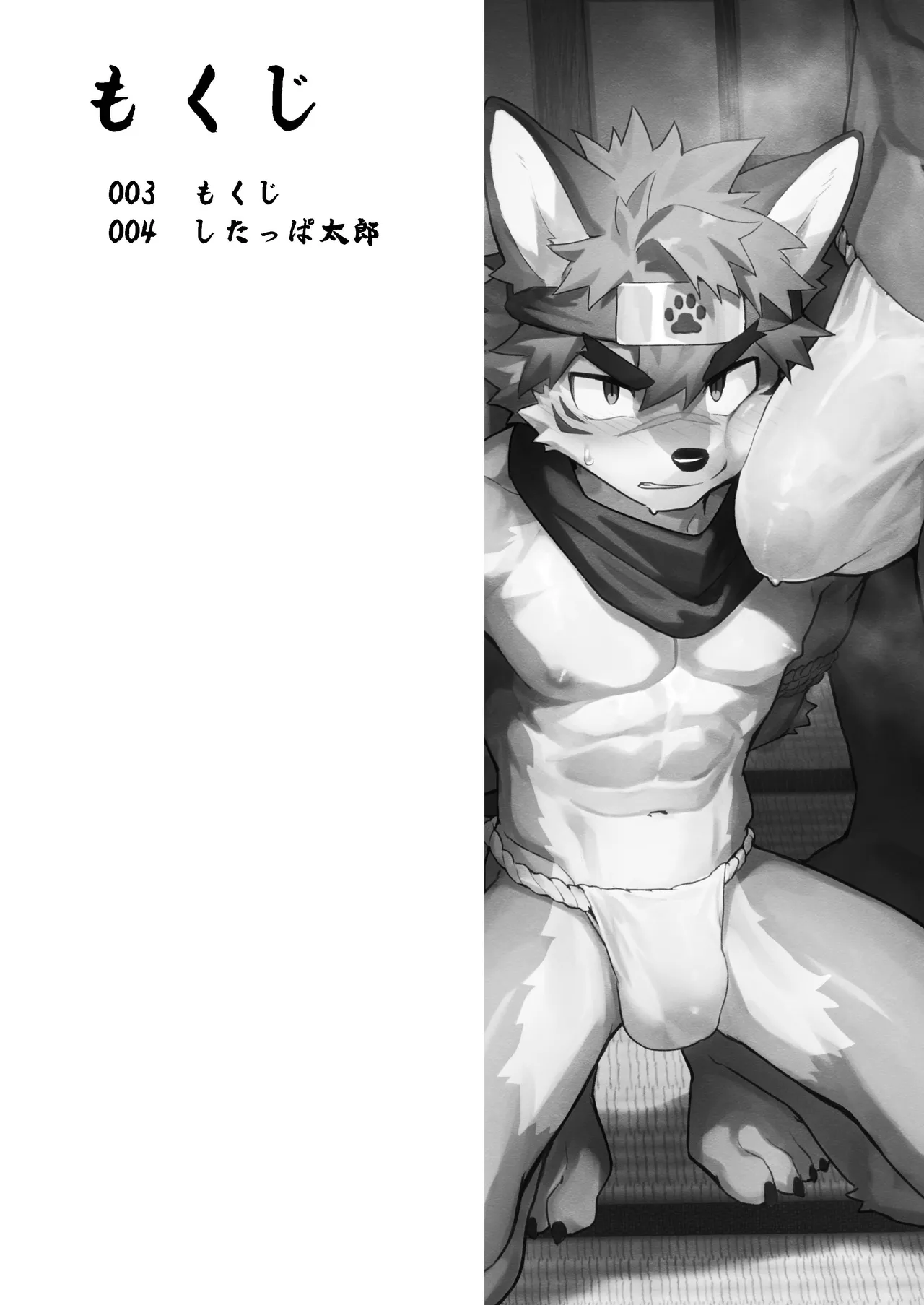 Shinobi no yoru wa nagai （忍者夜漫长） page 3 full