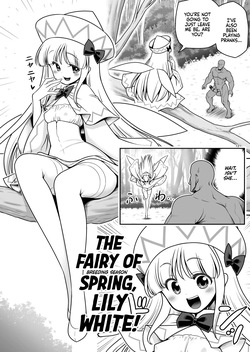 [Yosutebito na Mangakaki (Tomoki Tomonori)] SEX Saikyou Yousei to Yousei Hunter Ojisan | The Sex-Incarnate Fairy & The Fairy Hunter Oji-san (Touhou Project) [English] [Xzosk] [Digital] — page 12