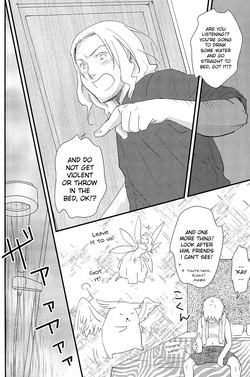 [ALMAGEST (Amii)] DAYS OF WINE AND BEER AND ROSES (Hetalia Axis Powers) [English] — page 20