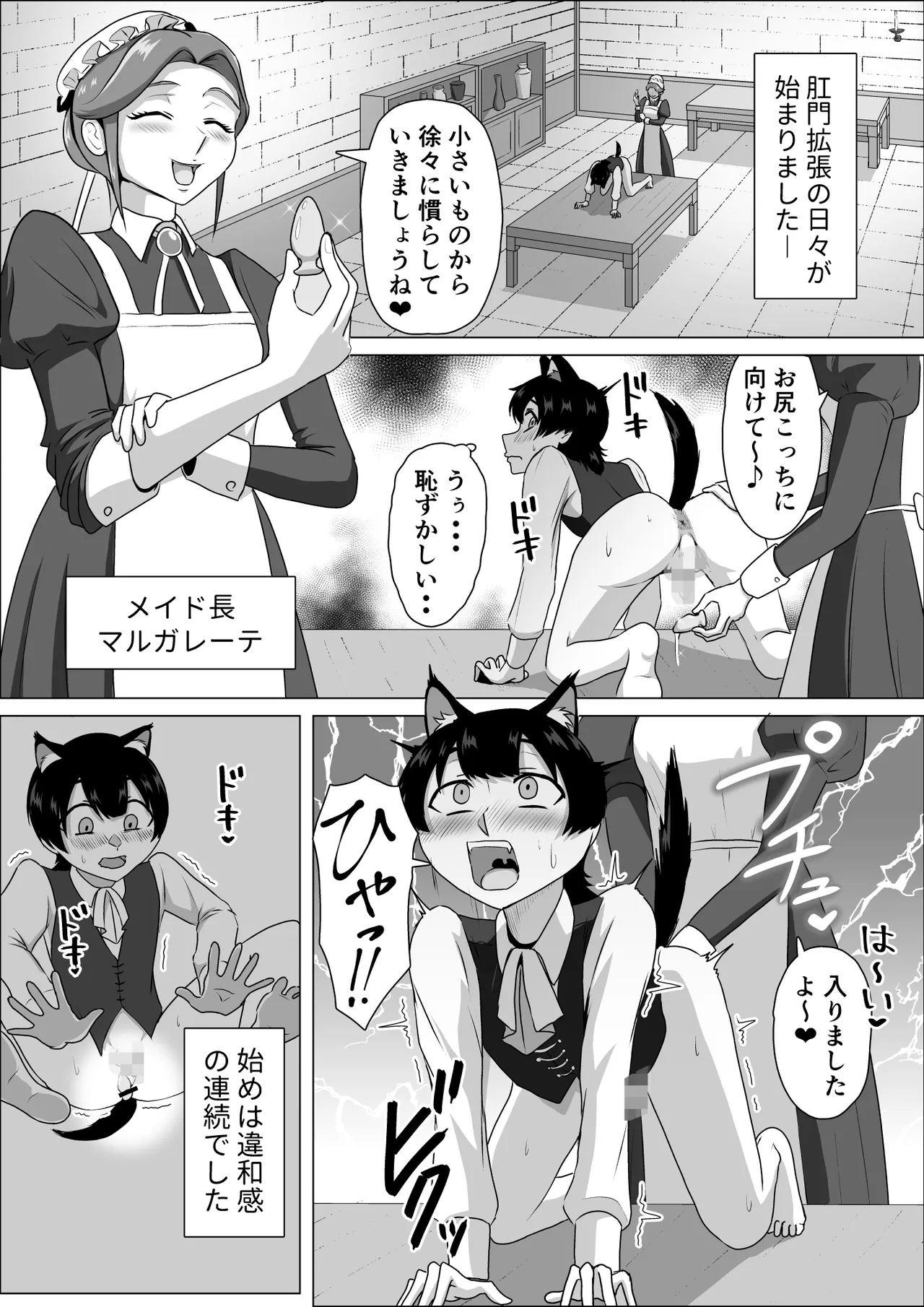 ふたなり女侯と従狼の夜伽 page 6 full