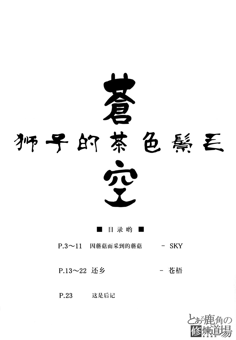 狮子的茶色鬃毛 page 2 full