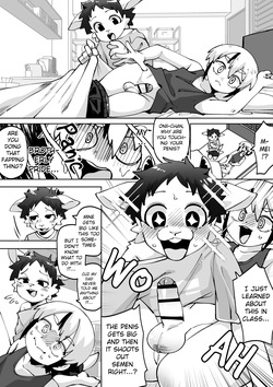 [Kaminosaki Shiten]I got an Incubus Brother[English] — page 14