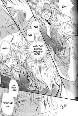 [LOVEPOTIONNO.9 (Ichinomiya Shihan)] Sick Heart Controllers (Hetalia Axis Powers) [English] — page 17