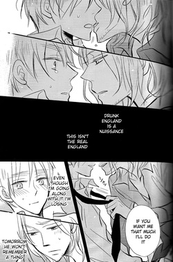 [LOVEPOTIONNO.9 (Ichinomiya Shihan)] Sick Heart Controllers (Hetalia Axis Powers) [English] — page 21