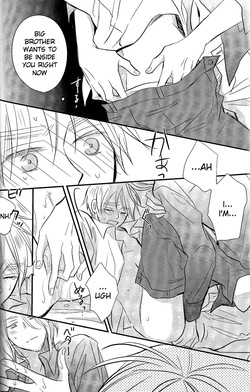[LOVEPOTIONNO.9 (Ichinomiya Shihan)] Sick Heart Controllers (Hetalia Axis Powers) [English] — page 24